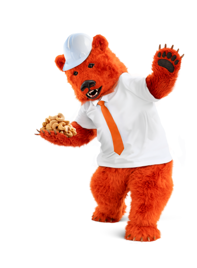 Grizly szakértő a kešu dióban