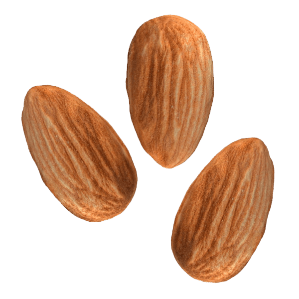 Mandula