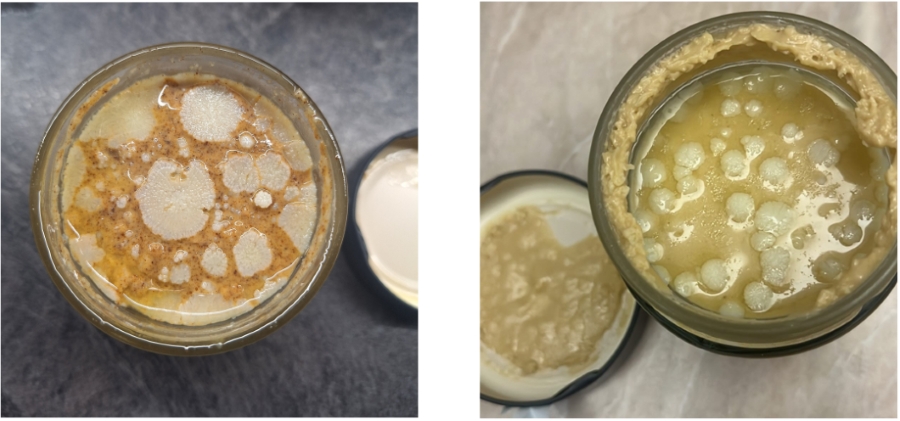 Wykwit tłuszczowy to nie pleśń – masła orzechowe Grizly