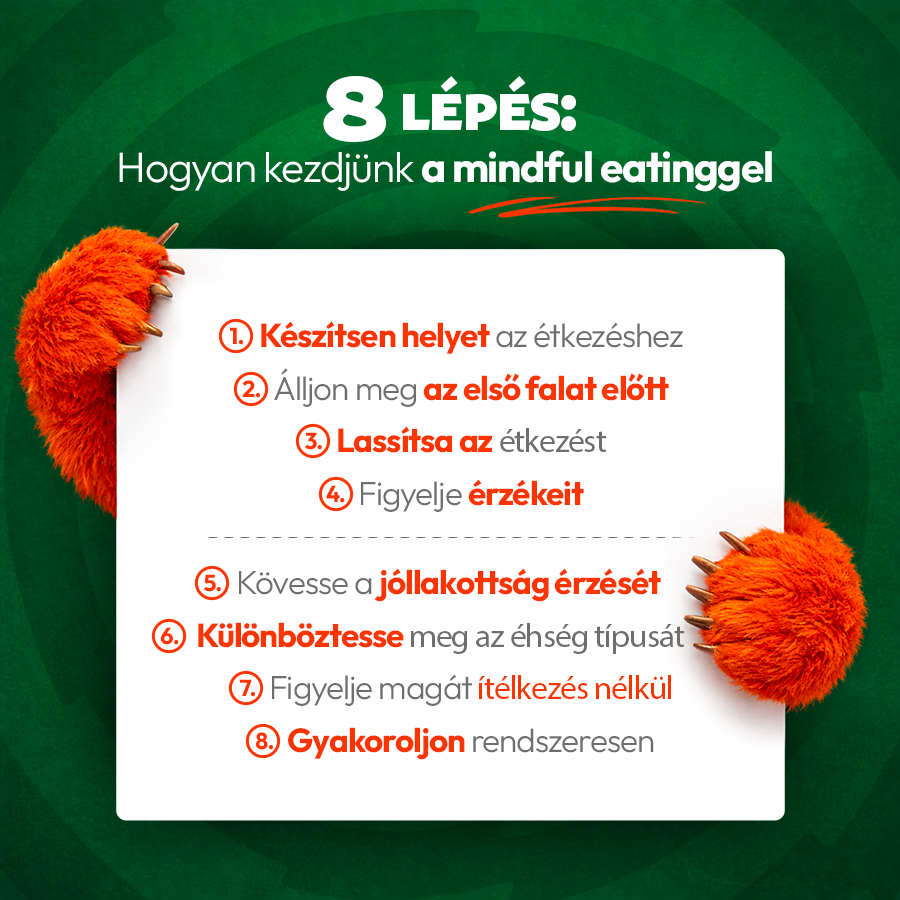 mindful eating: hogyan kezdjünk a Grizly-vel