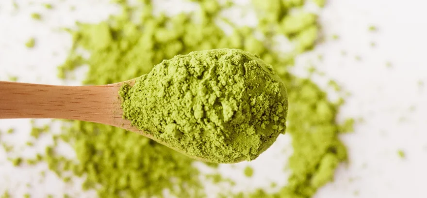 Matcha tea: A természet ereje, ami éberré tesz