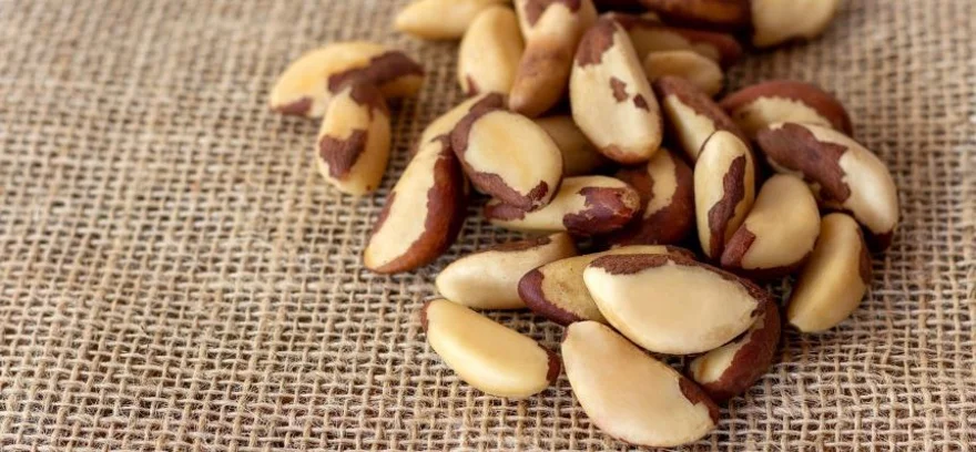 Hogy néz ki a brazil dióval történő túladagolás, és hogyan kerülhetjük el azt?