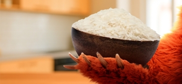 Hogyan válasszuk ki a megfelelő rizst? A Grizly segít