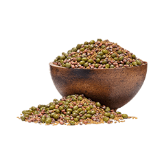 Csíráztató magvak