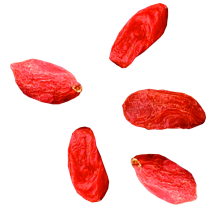 Kínai goji