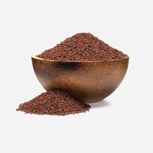 Brokkoli bio magok csíráztatáshoz