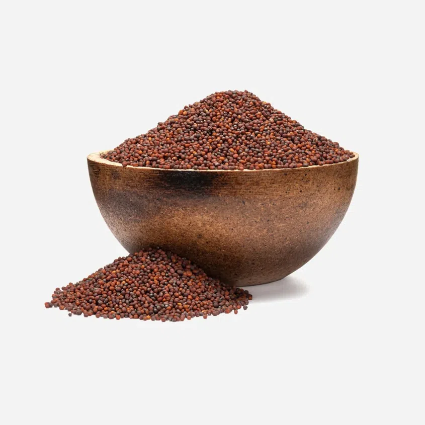 Brokkoli bio magok csíráztatáshoz