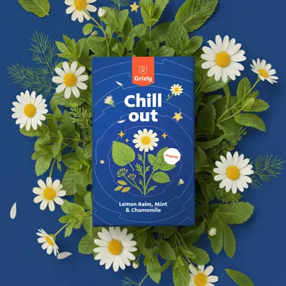 Chill out BIO gyógytea