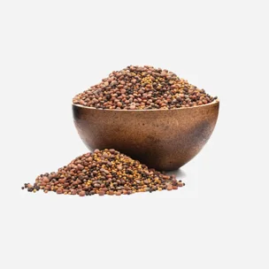 Csíráztatni való magok Brokkoli, retek, lóhere BIO