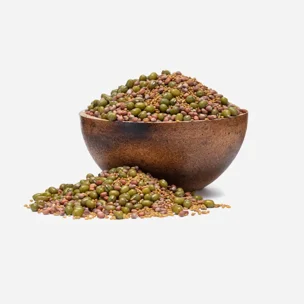 Csíráztatni való magok mix Mungóbab, lucerna, retek BIO