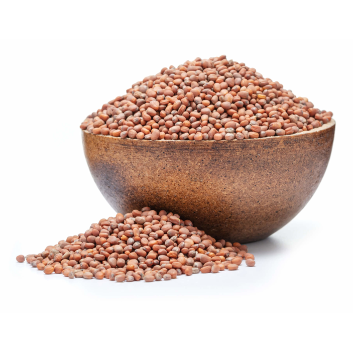 Csíráztatni való magok - Retek BIO