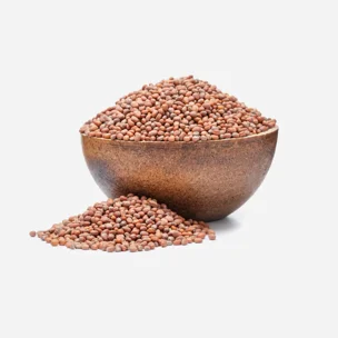 Csíráztatni való magok - Retek BIO