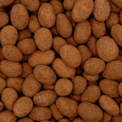 Fahéjas tejcsokoládéval bevont mandula