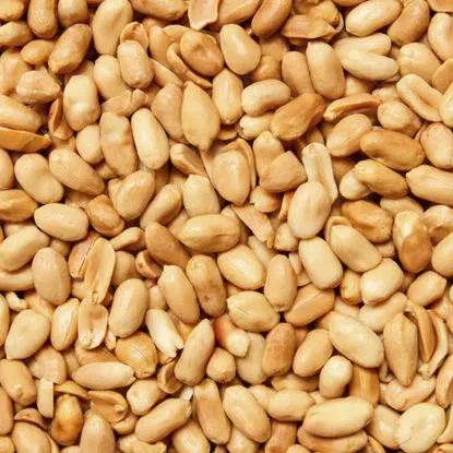 Hámozott, sótlan, pörkölt földimogyoró