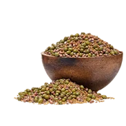 Csíráztató magvak