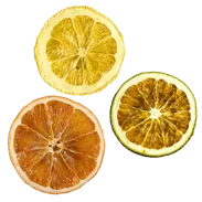 Citrusok