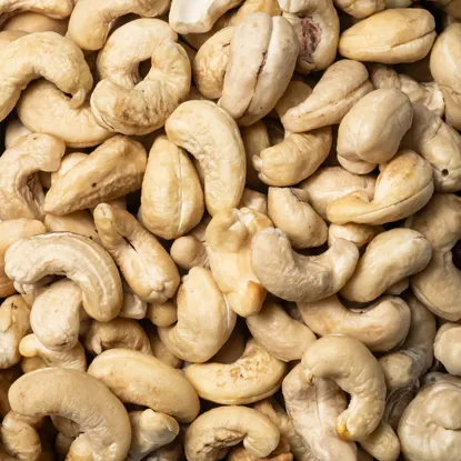 Kesudió  natúr SW320