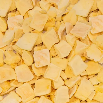 Liofilizált Mangó XXL