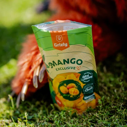 Mango exclusive II. osztály